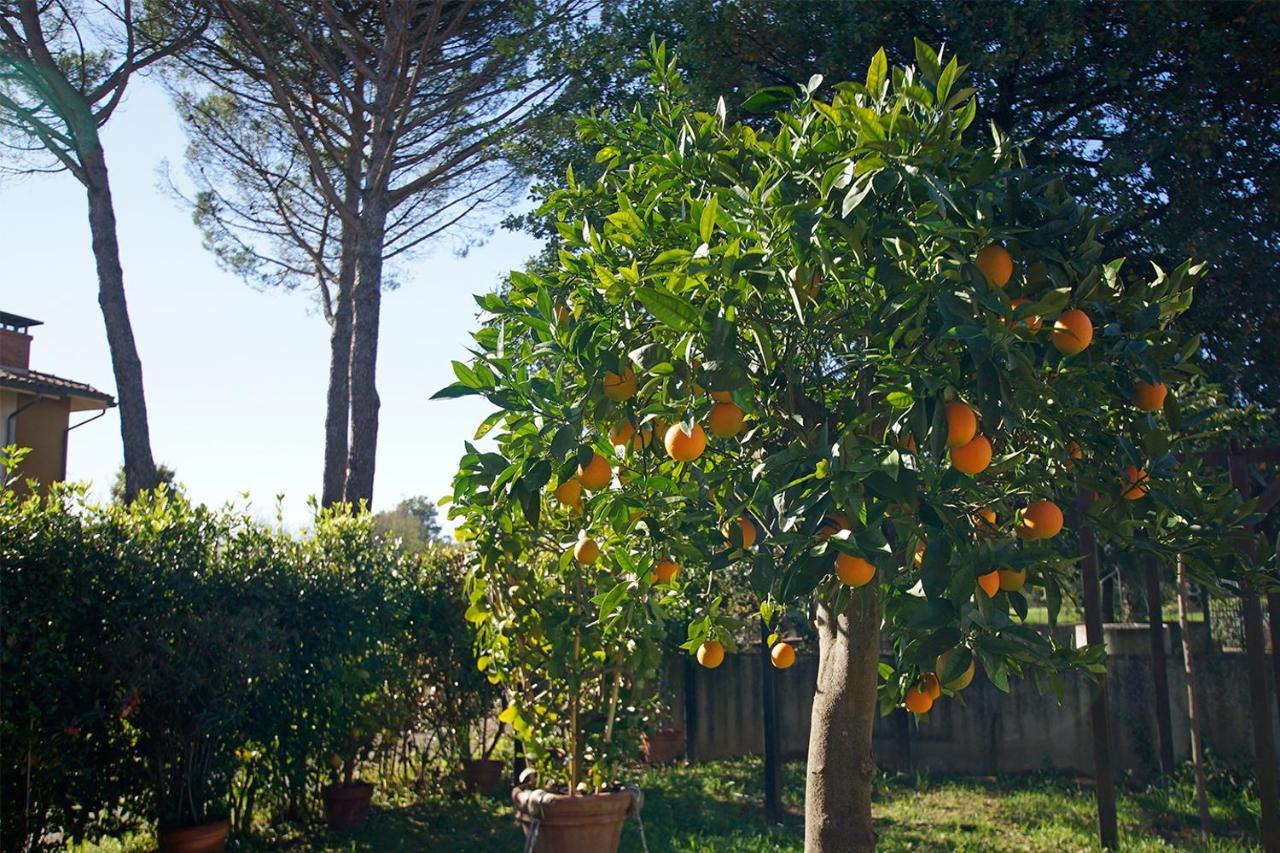 Bed & Breakfast Bel Giorgio Orentano Exterior foto